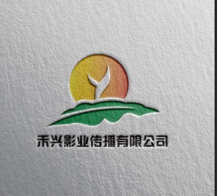 福建禾麟兴状影视传媒有限公司